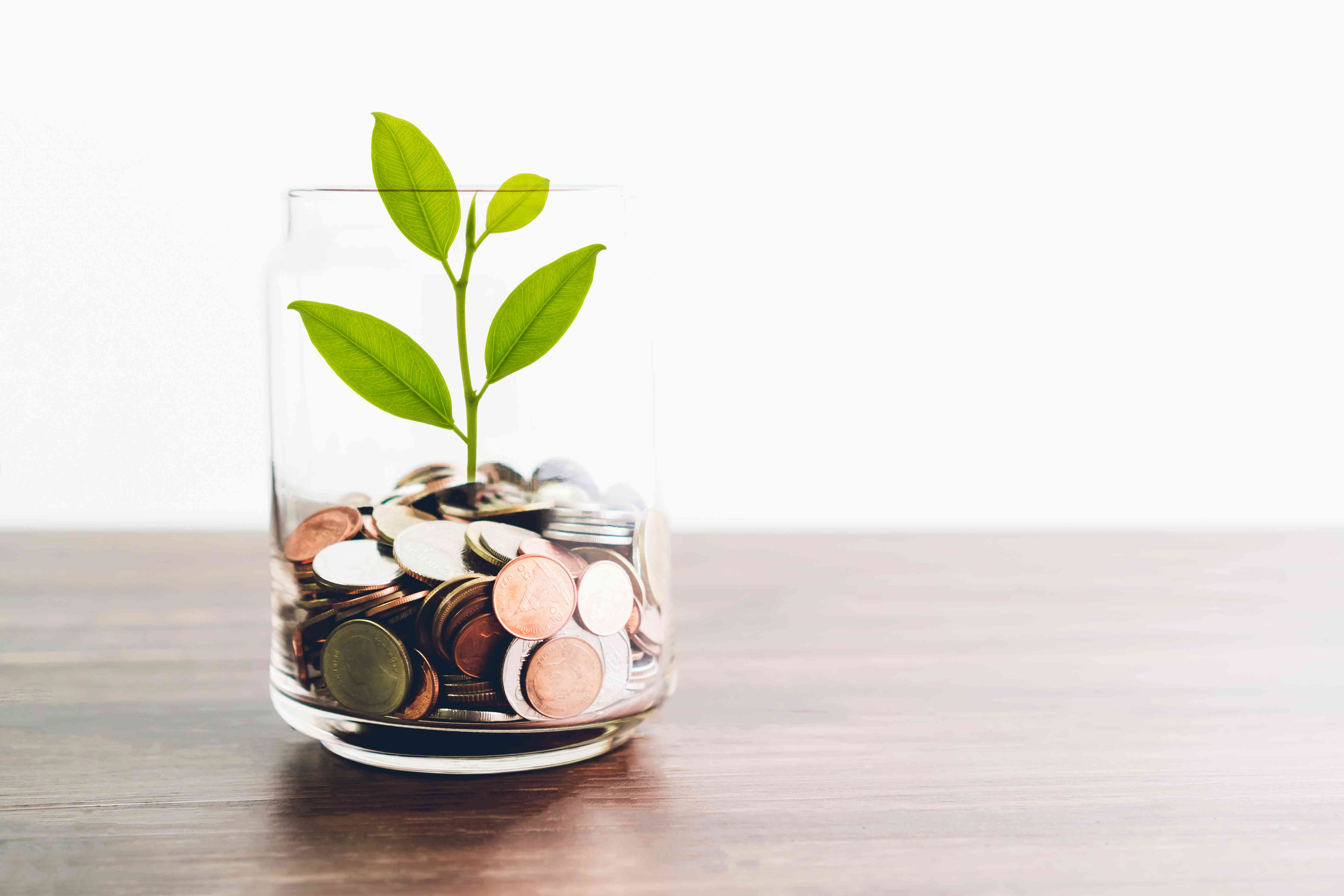 Coins in a bottle and the green tree, Represents the financial growth. The more money you save, the more you will get.